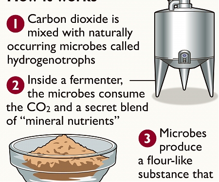 A New Protein Source Made From Air Could Be A Planet-Saving Game Changer - Air Protein