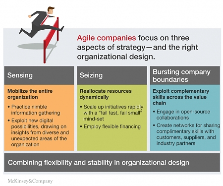 (PDF) Mckinsey - Why Agility Pays