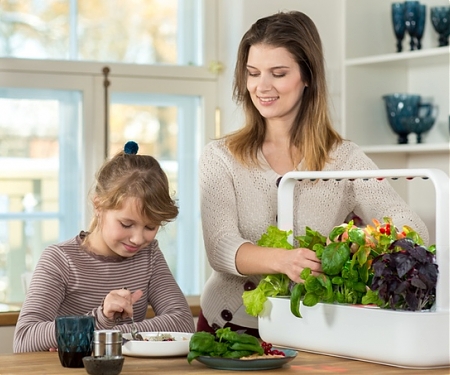 The Smart Garden : Your Solution for Better Food