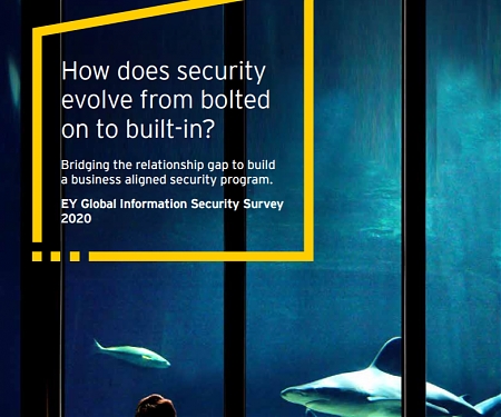 (PDF) EY Global Information Security Survey 2020