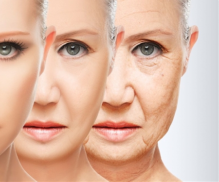 Israel Fast Becoming World Hub of Aging Industry