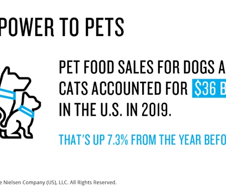 U.S. Pet Food Market Grows 7% Despite Grain-Free Decline