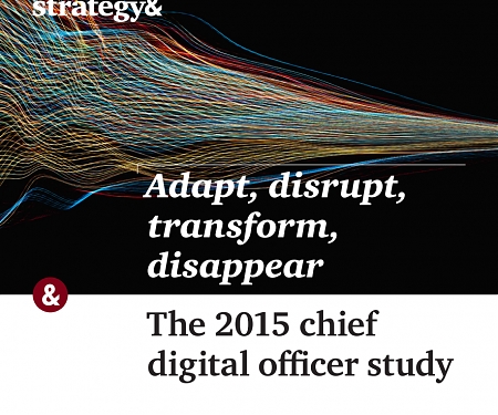 (PDF) The 2015 Chief Digital Officer Study