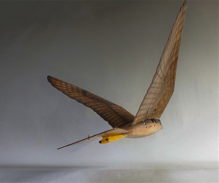 (Video) Bird-Scaring Drone Startup Scores $1.7M to, Well, Terrorize Birds