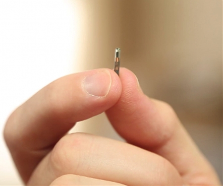 US Company Offers Free Microchip Implants to All Employees