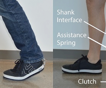 Low-Profile Assistive Ankle Exoskeleton Can Be Worn Under Clothes