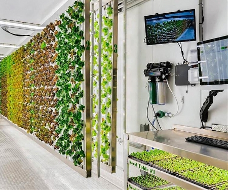 Ponix Is Bringing Local Produce to Food Deserts With Hydroponic Technology