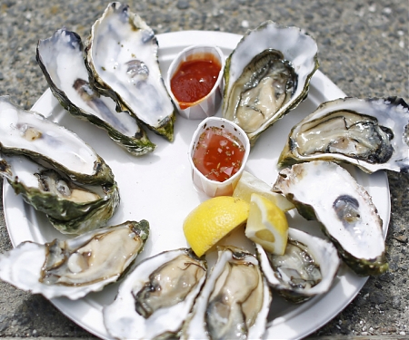Climate Change is Making Oysters and Other Shellfish Dangerous to Eat