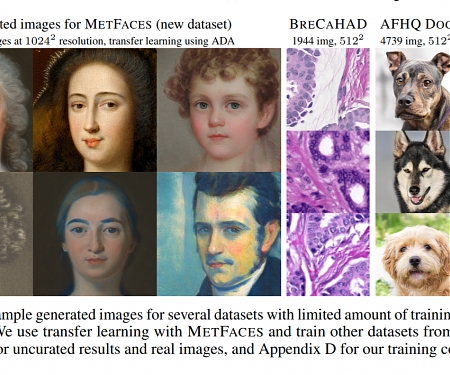 (Paper) Nvidia AI - Training Generative Adversarial Networks with Limited Data