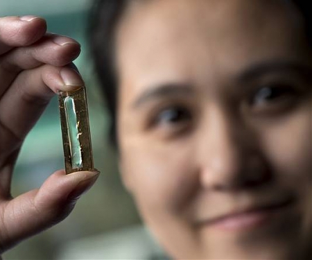 (Video) Researchers Create Incredible, Everlasting Battery - Plexiglas