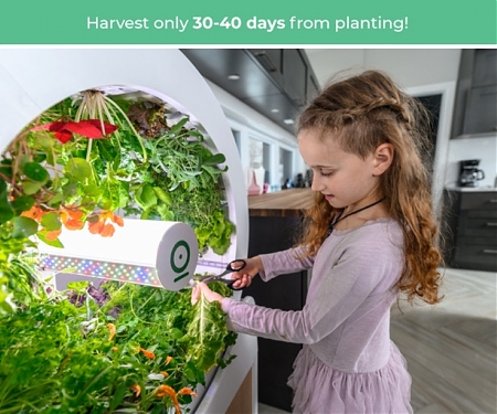 OGarden Smart : Grow An Indoor Garden of 90 Fruits & Veggies