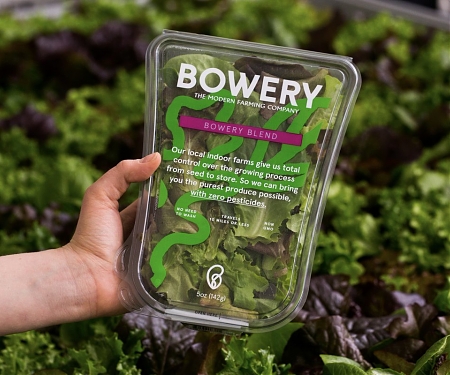 Bowery Raises $50M More For Indoor, Pesticide-Free Farms
