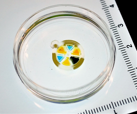 (Video) Squishy Clockwork Biobot Could Dose You With Drugs From the Inside