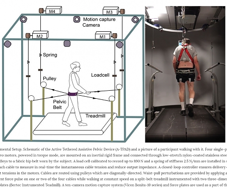 (PDF) Robotic Pelvic Assist Device Helps Parkinson’s Patients Improve Their Stability While Walking