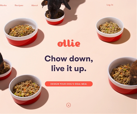 Ollie Raises $4.4M to Become The Sprig of Dog Food