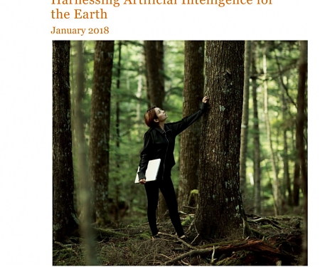 (PDF) PwC : AI for the Earth - Harnessing Artificial Intelligence for the Earth