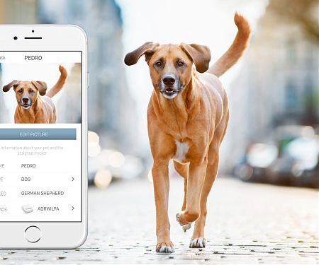 (Infographic) Unleashed : 70+ Companies Targeting The Pet Industry