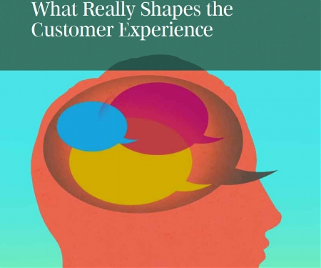 (PDF) BCG - What Really Shapes the Customer Experience