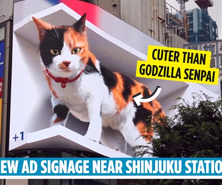 (Video) Hyper-Realistic 3D Cat Appears on Billboard Outside Shinjuku Station