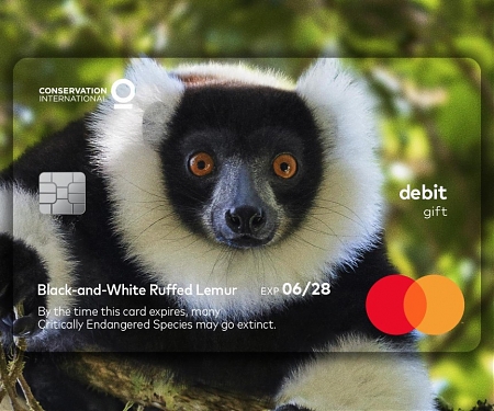 MasterCard : The Wildlife Impact Card Program by McCann