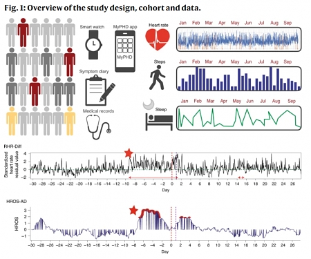 (Paper) Stanford - Pre-Symptomatic Detection of COVID-19 from Smartwatch Data