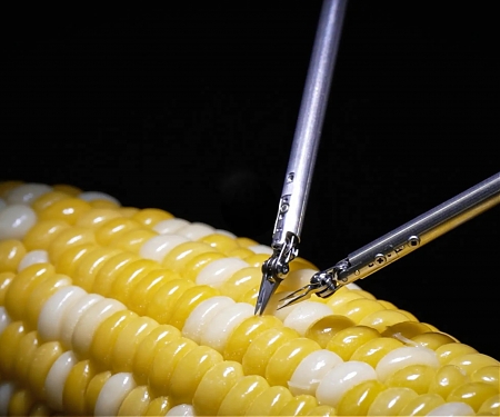 Sony's New Microsurgery Robot Stitches Up a Corn Kernel