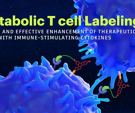 Metabolically Labeled CAR-T Cells Against Cancer