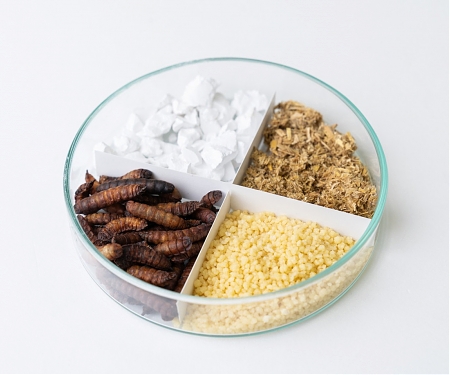 Fraunhofer - Energy-Efficient Electric Drying With Superheated Steam
