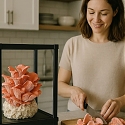 LYKYN Makes Indoor Mushroom Growing As Simple As Nespresso For Coffee