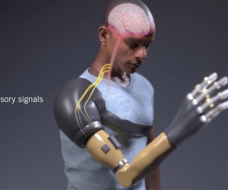 Futuristic Bionic Arm Helps Amputees Feel The Sensation of Touch and Movement