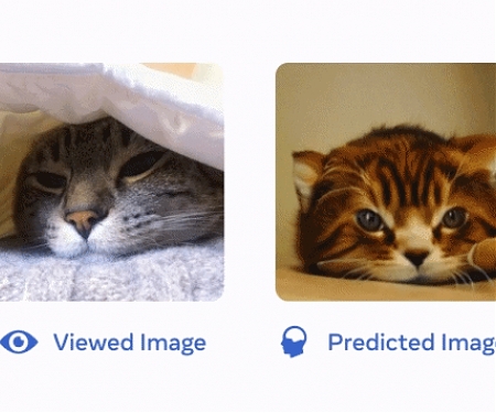 (Paper) Meta - Towards a Real-Time Decoding of Images from Brain Activity