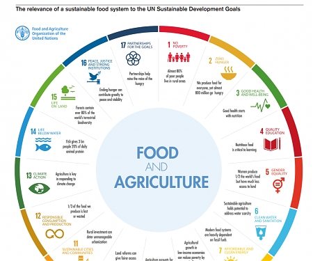 (PDF) Credit Suisse Report - The Global Food System : Identifying Sustainable Solutions