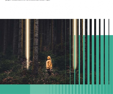 (PDF) BCG - The Next Generation of Climate Innovation