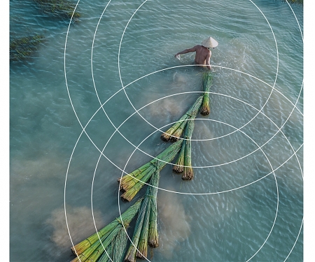 (PDF) Bain - Selling Sustainability Means Decoding Consumers