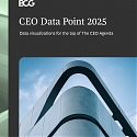 (PDF) BCG - CEO Data Point