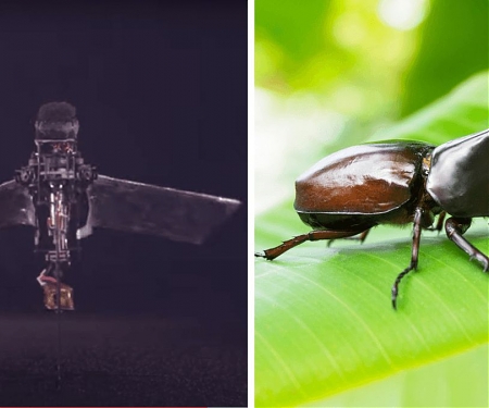 (Video) A Flapping Microrobot Inspired by The Wing Dynamics of Rhinoceros Beetles