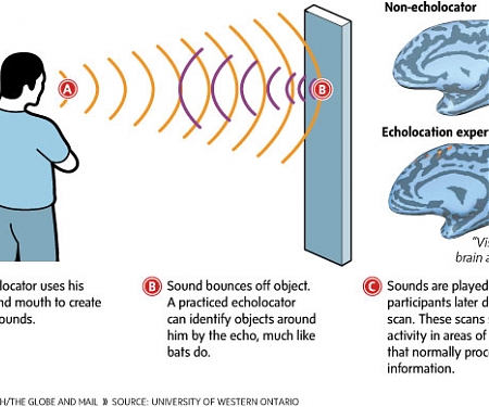 (Paper) New Device Lets People Who Are Blind “See” in Infrared