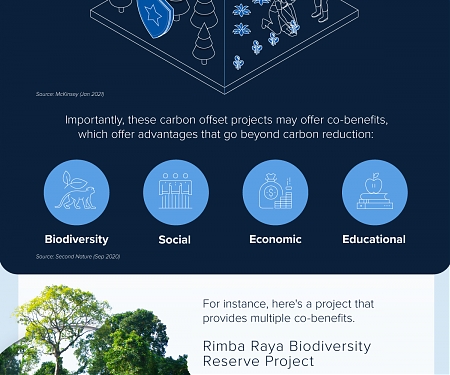 (Infographic) A Complete Visual Guide to Carbon Markets