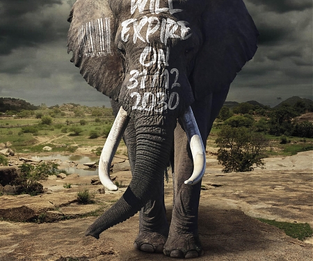 National Park Rescue - Last Call