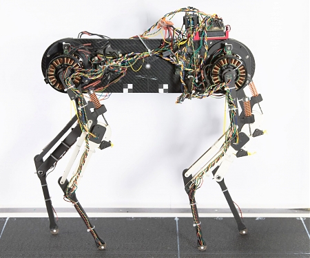 (Video) Morti is a Robot Dog That Can Learn to Walk in an Hour