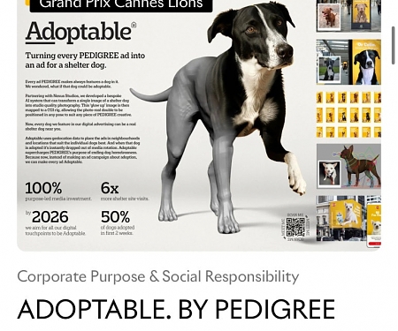 Pedigree Adopts AI to Give ‘Glow Ups’ to Shelter Dog Ads