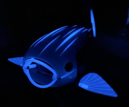 (Video) The Natural Robotics Contest 2022 Winner : 'Gillbert'