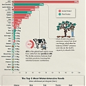 (Infographic) Environmental Impacts of Food Production