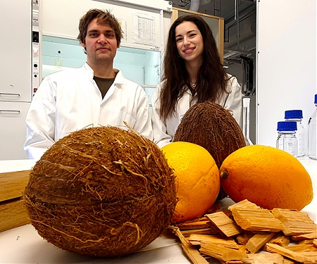 (Paper) Sustainable Thermal Energy Batteries from Fully Bio-Based Transparent Wood