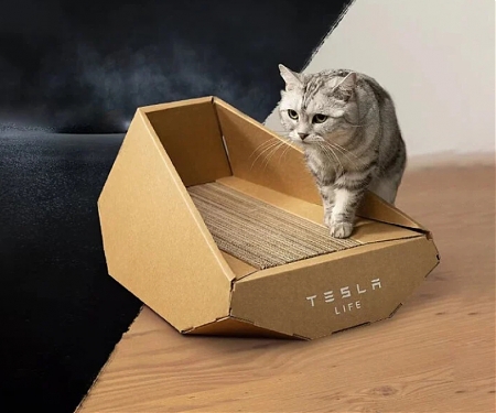Tesla Releases Cardboard Cat House Informed by Cybertruck in China