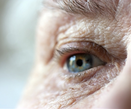 Harvard Medical School : Anti-Aging Gene Therapy Restores Vision