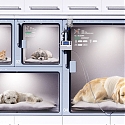 PAUSE Modern Pet Hospital Room Concept