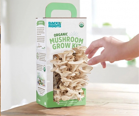 Back to the Roots : From Office Space Mushrooms to a Gardening Revolution