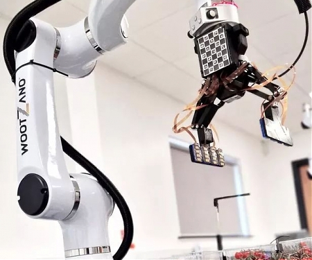 The World's Most Dexterous Fresh Produce Packing Robot - Wootzano