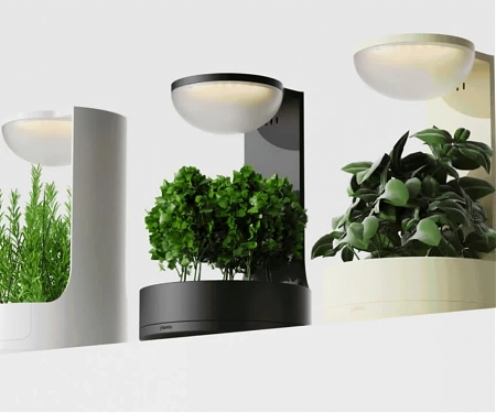 Planta Lets You “Converse” with Your Plants Virtually